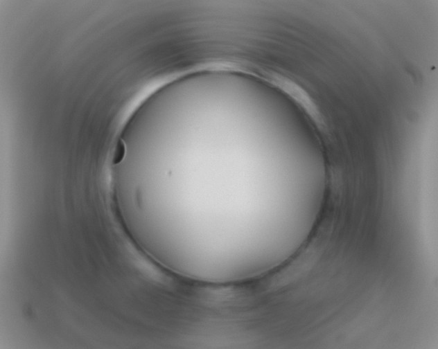 X0000113621428200910161942