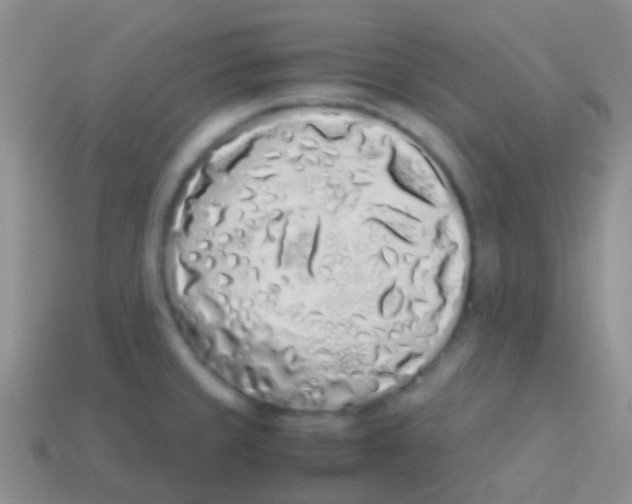 X0000113621429200910161942