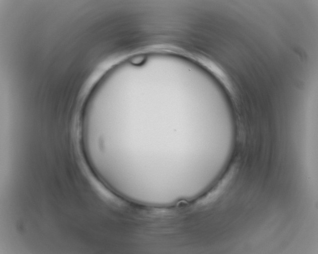 X0000113621430200910161942