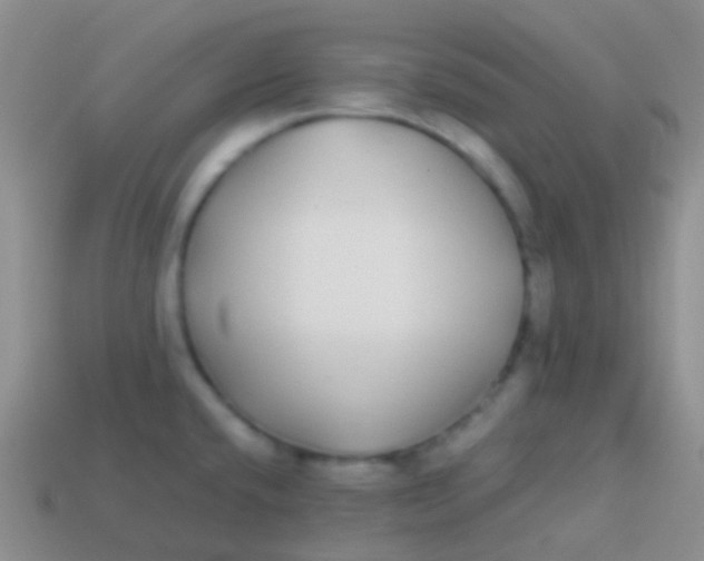 X0000113621432200910161942