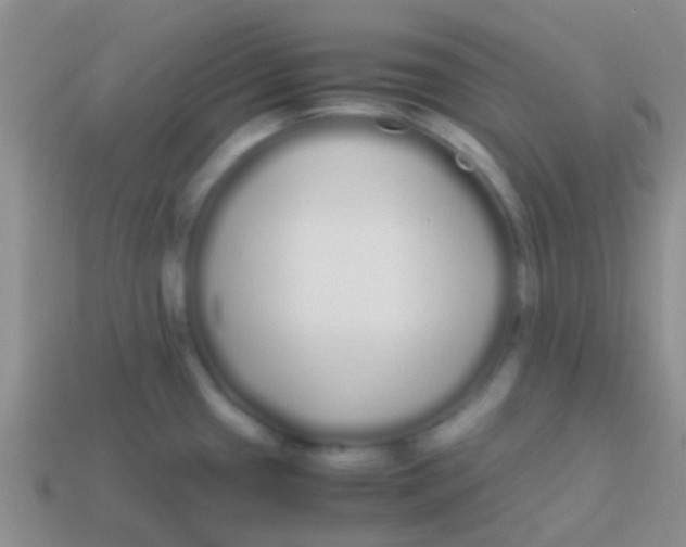 X0000113621433200910161942
