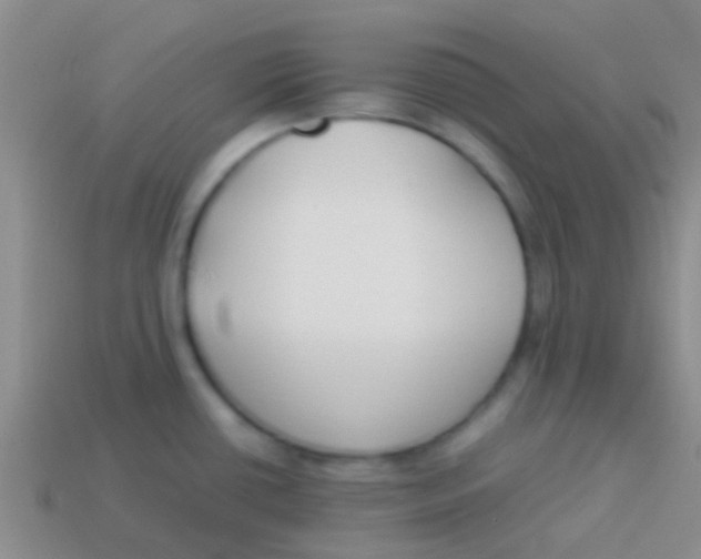 X0000113621434200910161942