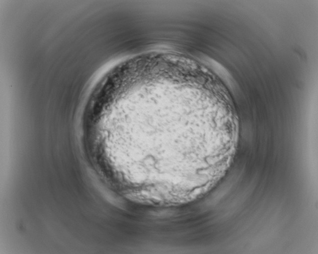 X0000113621435200910161942
