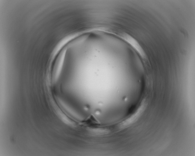 X0000113621436200910161942