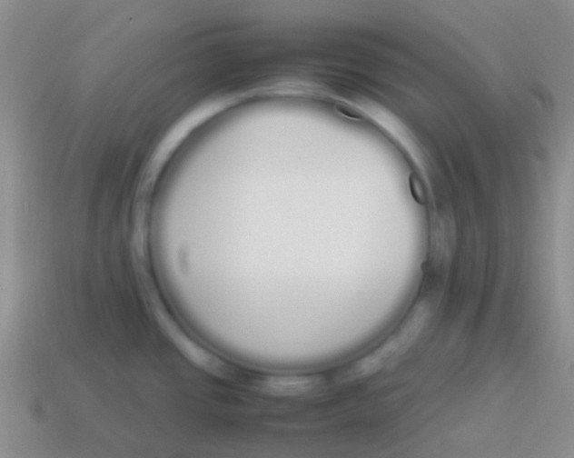 X0000113621437200910161942