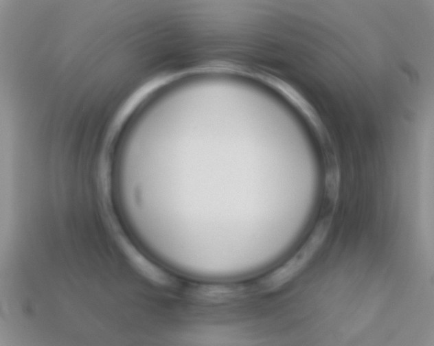 X0000113621438200910161942