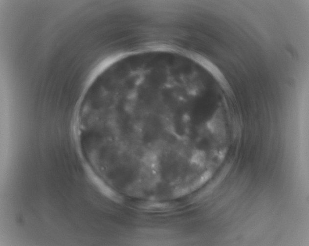 X0000113621439200910161942