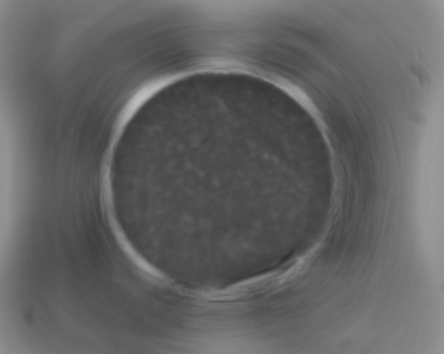 X0000113621440200910161942