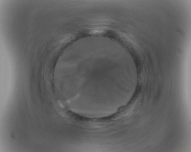X0000113621441200910161942