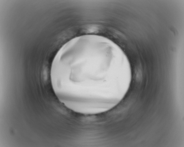 X0000113621442200910161942
