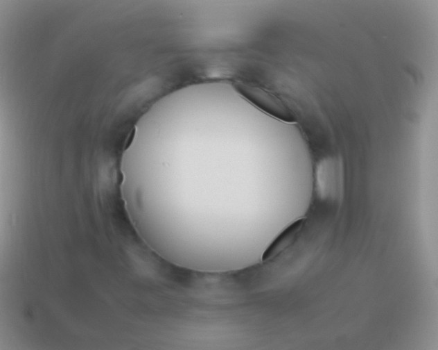 X0000113621443200910161941
