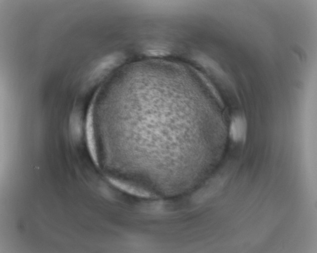 X0000113621444200910161941