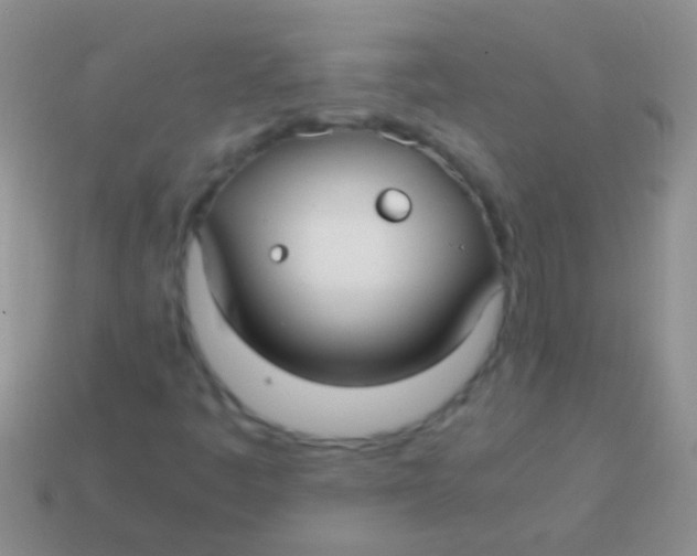 X0000113621445200910161941