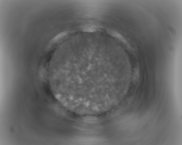 X0000113621446200910161941