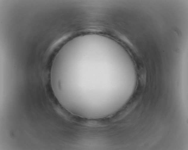 X0000113621448200910161941