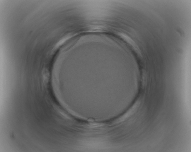 X0000113621449200910161941