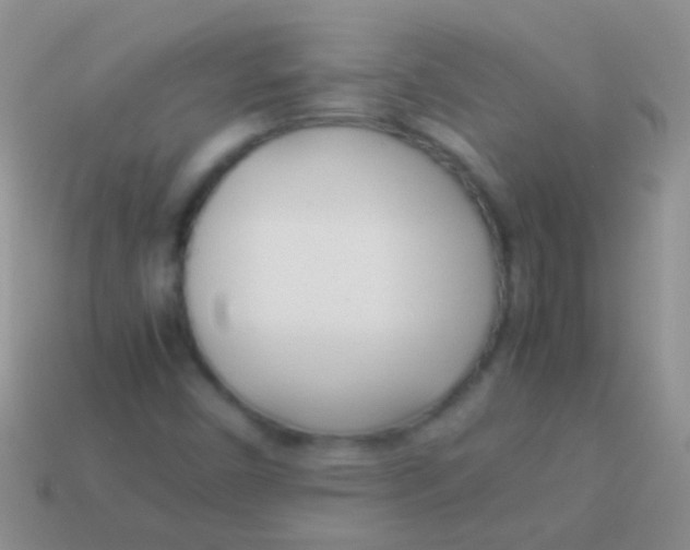 X0000113621450200910161941
