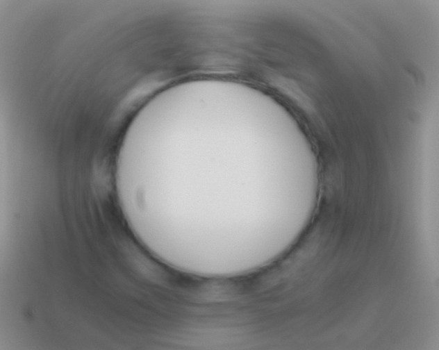 X0000113621451200910161941