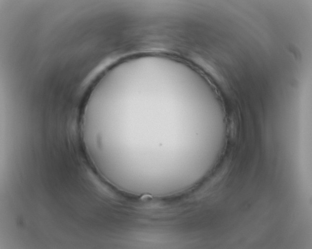 X0000113621452200910161941