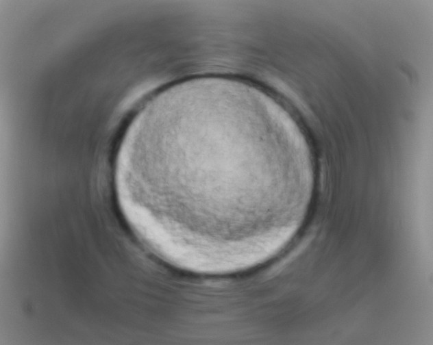 X0000113621453200910161941