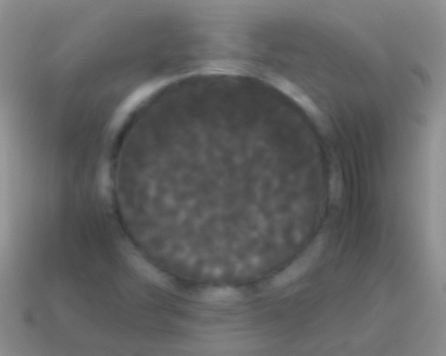 X0000113621454200910161941