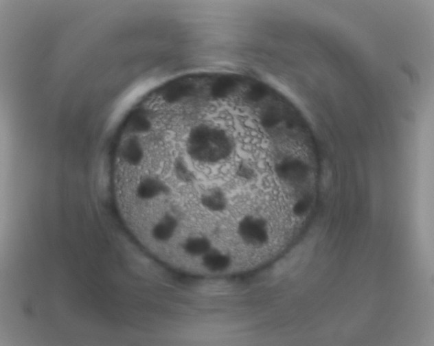 X0000113621455200910161941