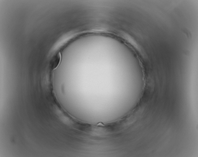 X0000113621456200910161941