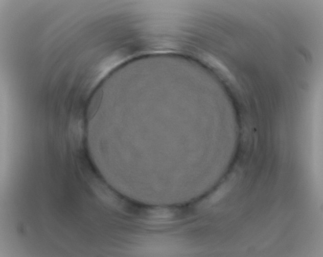 X0000113621457200910161941