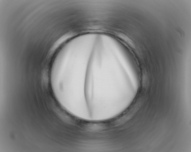 X0000113621458200910161941