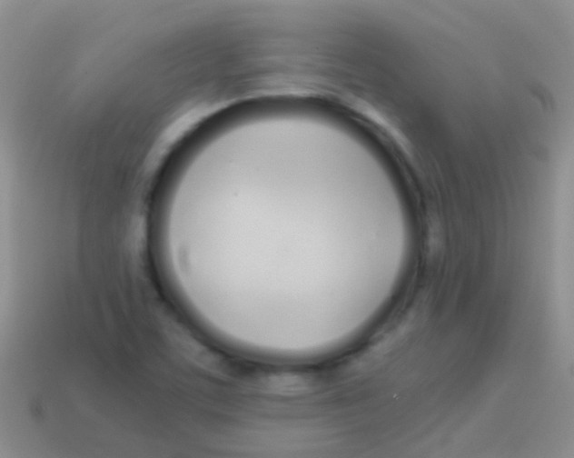 X0000113621459200910161941