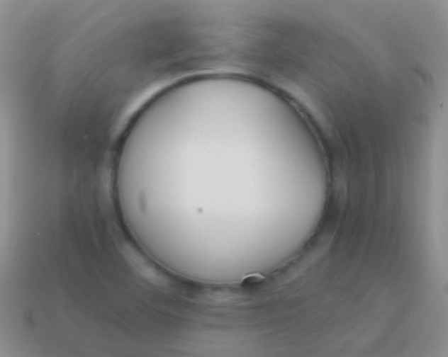 X0000113621460200910161941
