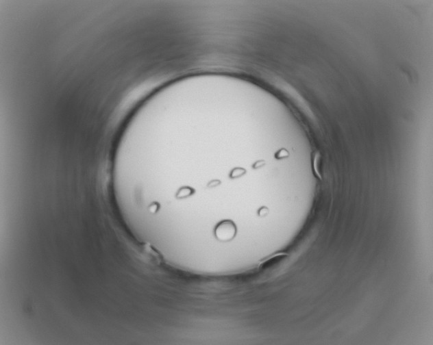 X0000113621461200910161941