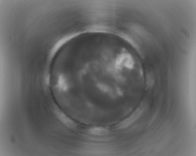 X0000113621462200910161941
