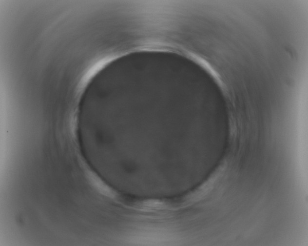 X0000113621463200910161941
