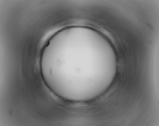 X0000113621464200910161941