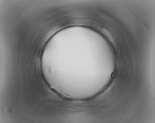 X0000113621465200910161941