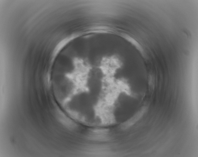 X0000113621466200910161941