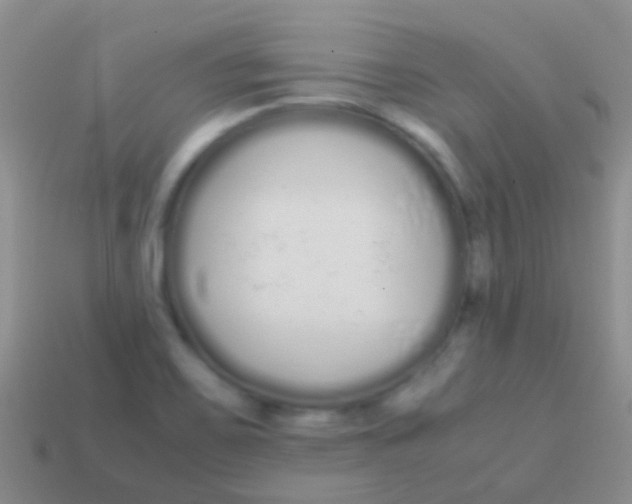 X0000113621467200910161941