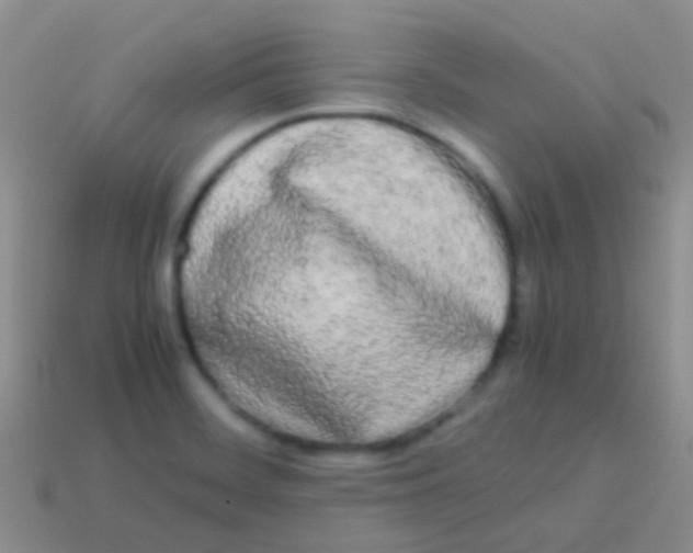 X0000113621468200910161941