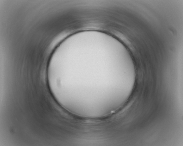 X0000113621469200910161941