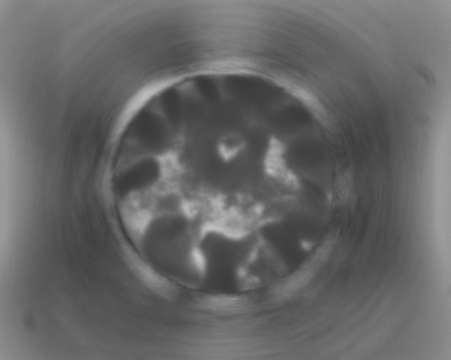 X0000113621470200910161941