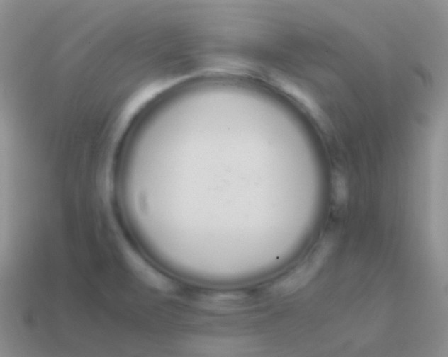 X0000113621471200910161941