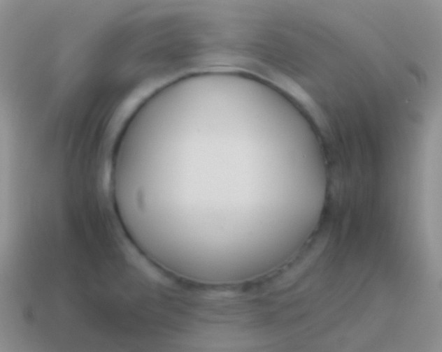 X0000113621472200910161941