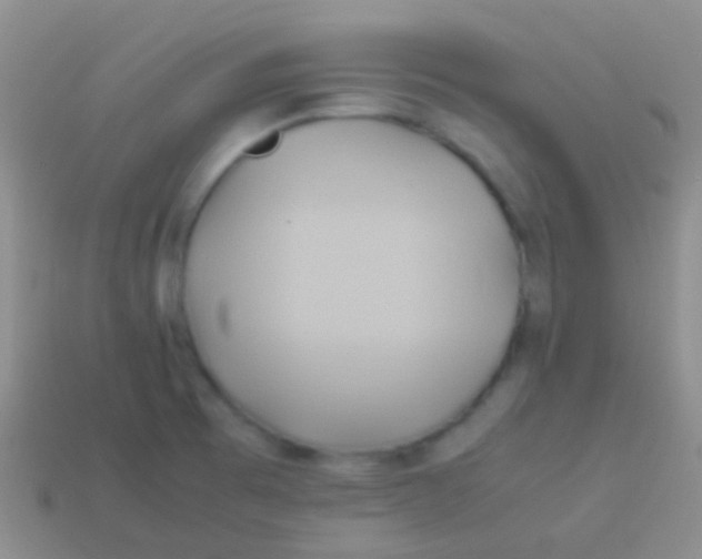 X0000113621473200910161941