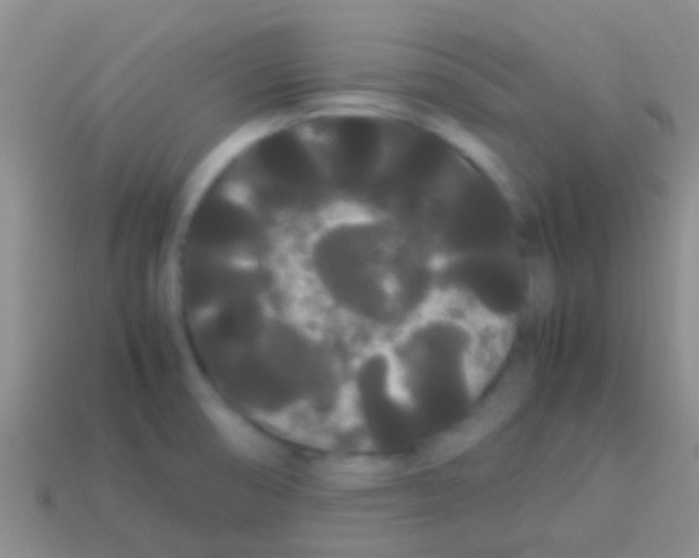 X0000113621474200910161941