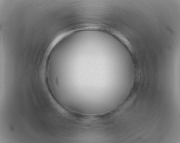 X0000113621475200910161941