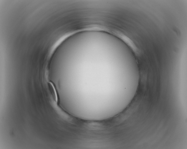 X0000113621476200910161941