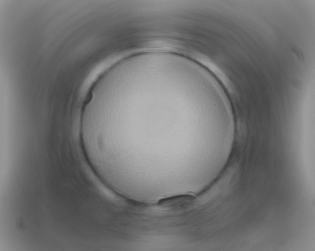 X0000113621477200910161941