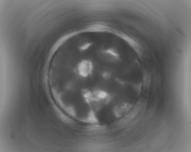 X0000113621478200910161941