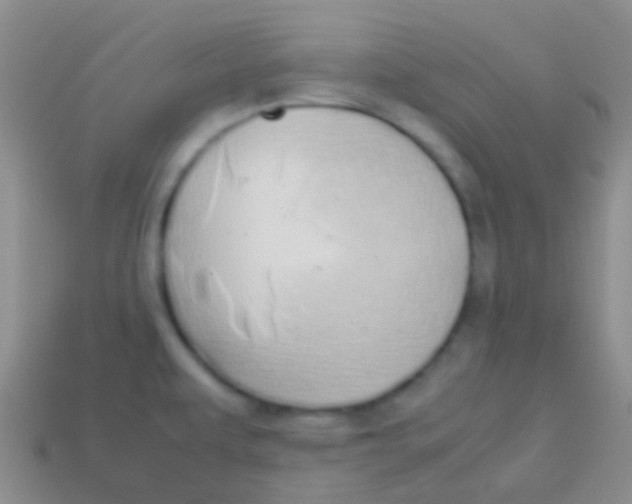 X0000113621479200910161941